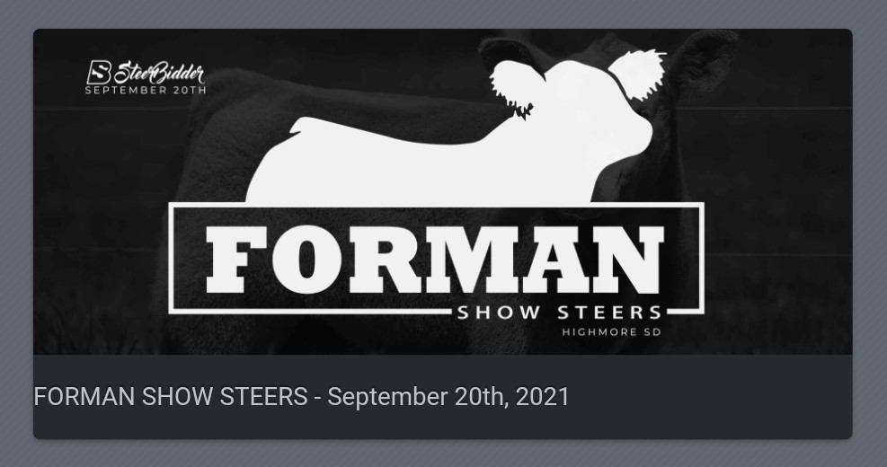 Forman Show Steers Pasture Sale - Steerbidder 2021